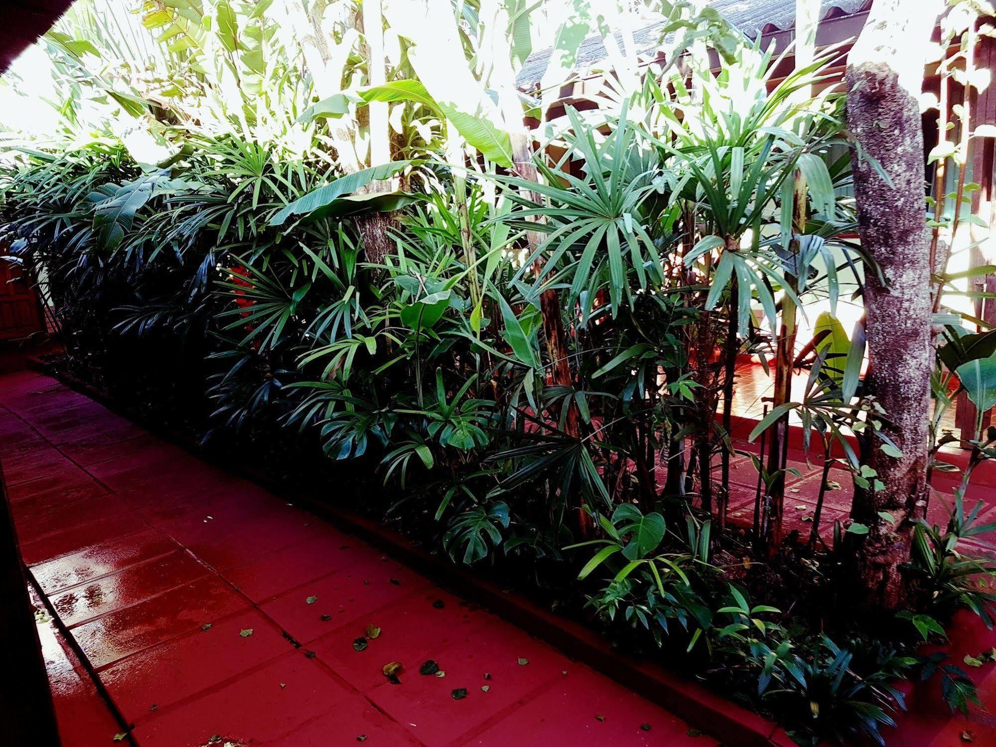 Hosteria Los Helechos Puerto Iguazu Bagian luar foto